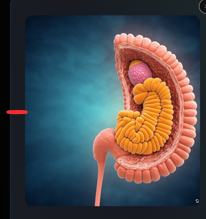 The Gut-Brain Connection: How Your Gut Affects Your Mood
