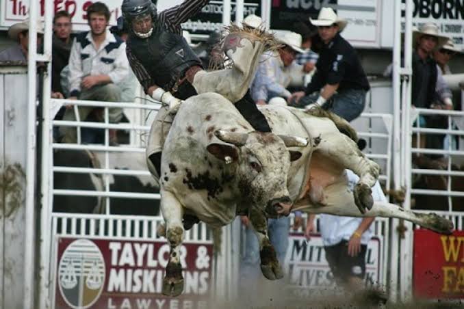 Tragic injury: Professional Bull Riders have confirm devastating injury with two key Riders sidelined indefinitely…..